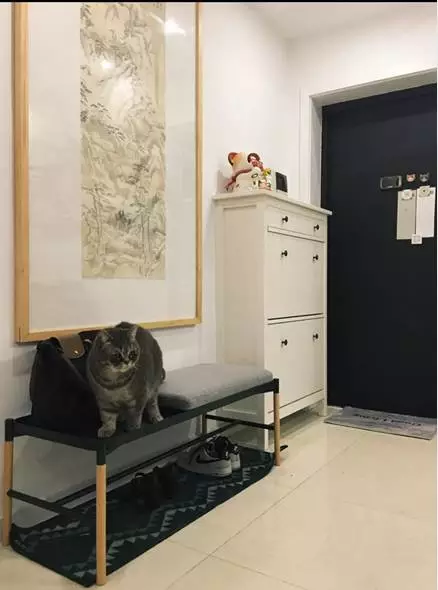 你的家配電箱，所以裝修很漂亮！