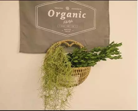 你的家配電箱，所以裝修很漂亮！